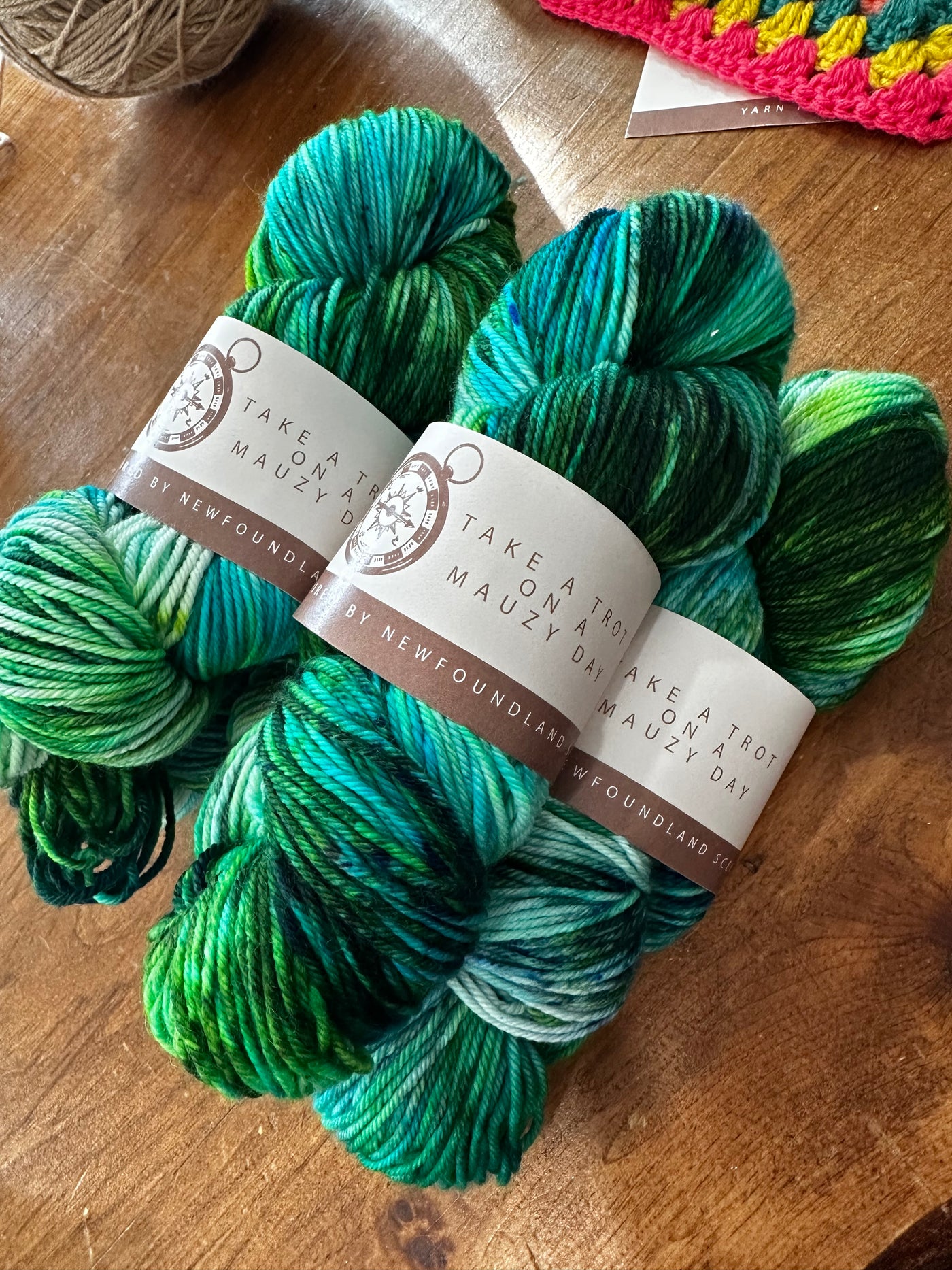 SeaSpun - Take A Trot On A Mauzy Day - Hand Dyed Yarn Inspired By Newfoundland Scenery