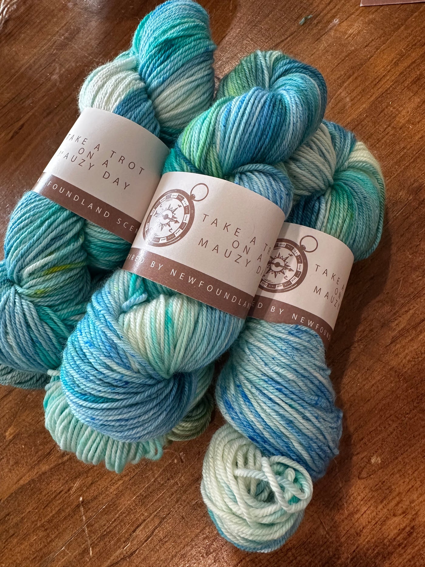 SeaSpun - Take A Trot On A Mauzy Day - Hand Dyed Yarn Inspired By Newfoundland Scenery