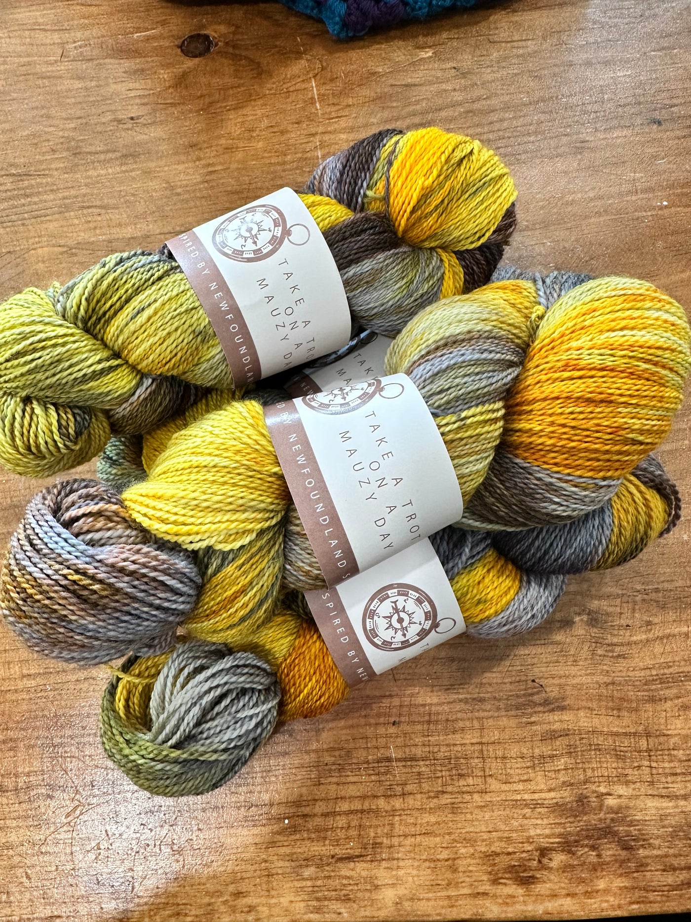 SeaSpun - Take A Trot On A Mauzy Day - Hand Dyed Yarn Inspired By Newfoundland Scenery