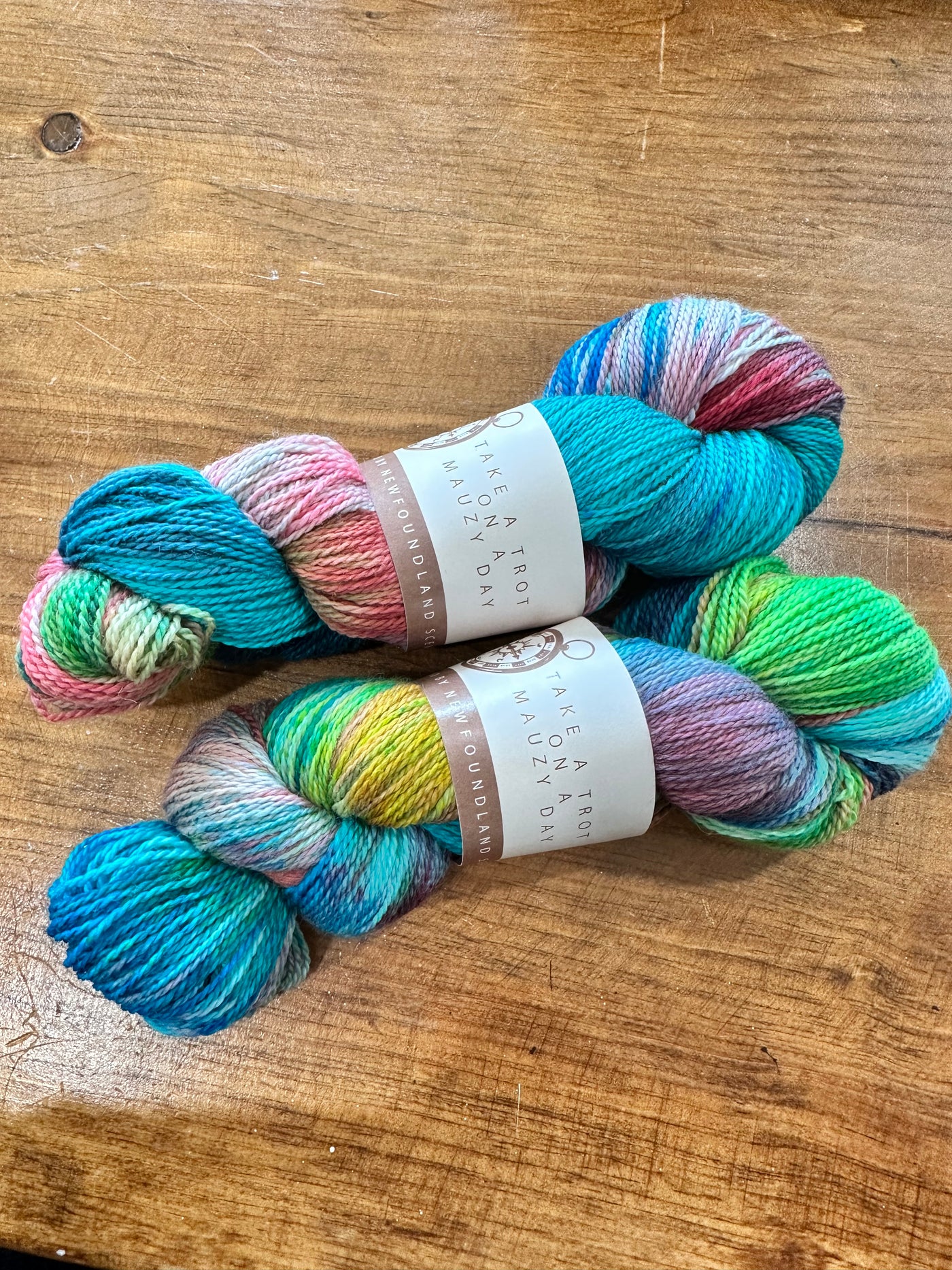 SeaSpun - Take A Trot On A Mauzy Day - Hand Dyed Yarn Inspired By Newfoundland Scenery