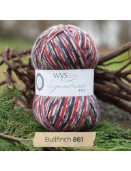 West Yorkshire Spinners - Signature 4 Ply Self Striping Sock Yarn