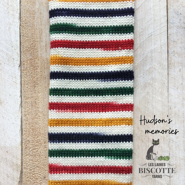 Biscotte Yarns - Les Laines Self Striping Sock Yarn